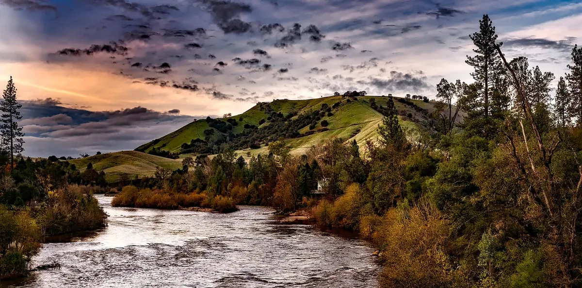 The Difference Between a Creek, a Brook, and a Stream: An Explainer