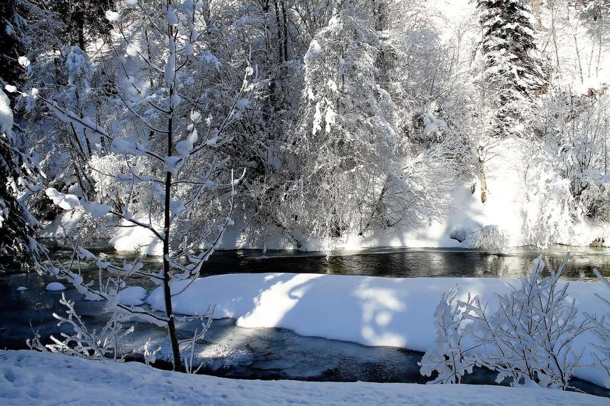 Winter River Safety and Ethics: A Checklist for Cold-Weather Walks